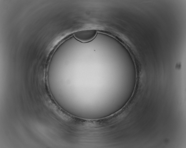 X0000116831220200912241220