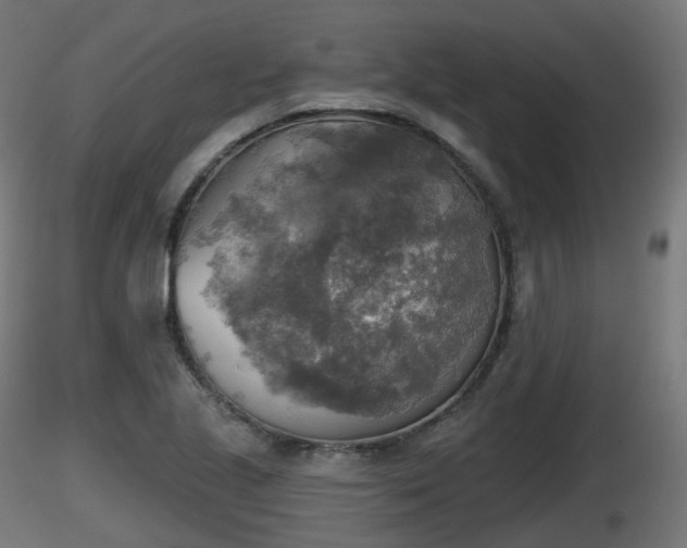 X0000116831221200912241220