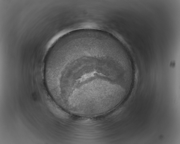 X0000116831222200912241220