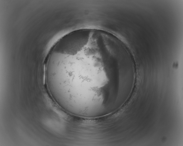 X0000116831223200912241220