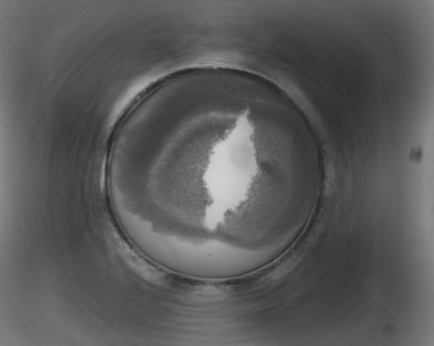 X0000116831224200912241220