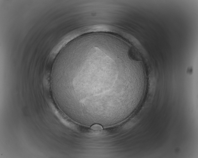 X0000116831225200912241220