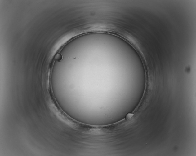 X0000116831227200912241220