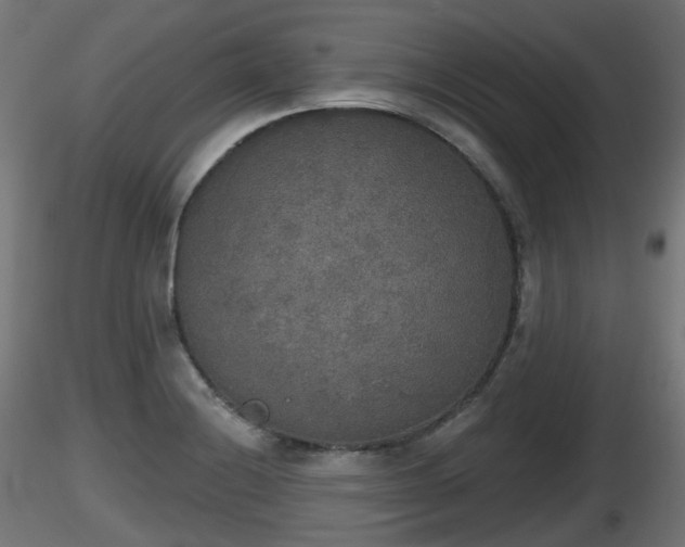 X0000116831228200912241220