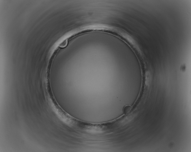 X0000116831229200912241220