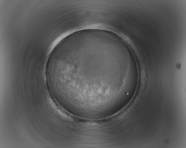 X0000116831230200912241220