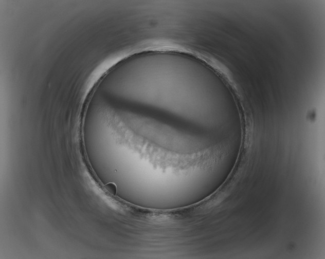 X0000116831231200912241220