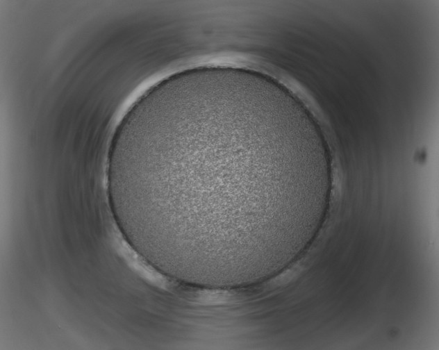 X0000116831232200912241220