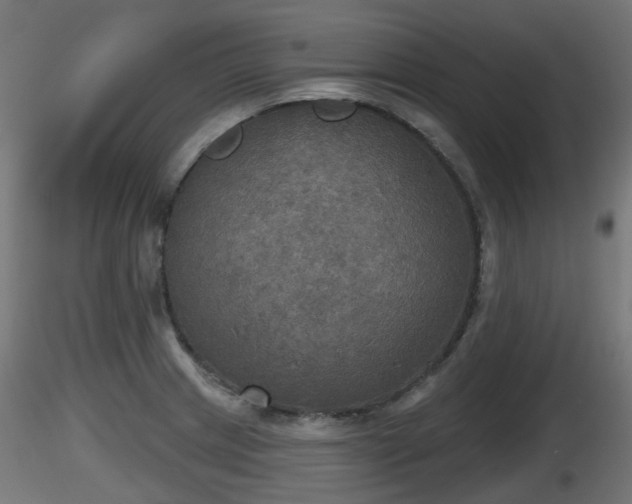 X0000116831233200912241220