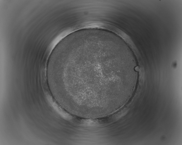 X0000116831234200912241220