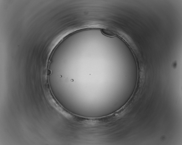 X0000116831236200912241220
