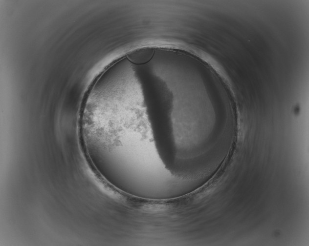 X0000116831237200912241220