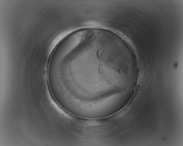 X0000116831239200912241220