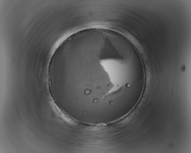 X0000116831240200912241220