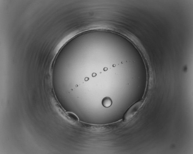 X0000116831242200912241220