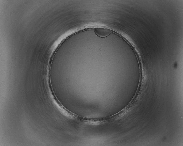 X0000116831245200912241220