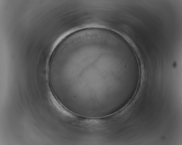 X0000116831246200912241220