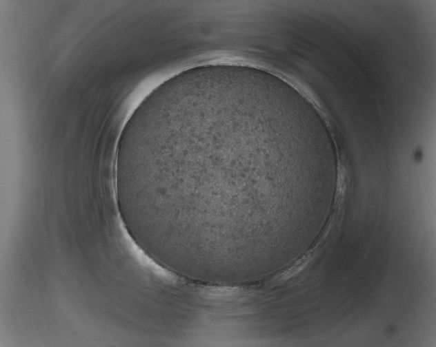 X0000116831247200912241220