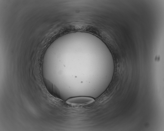 X0000116831249200912241219