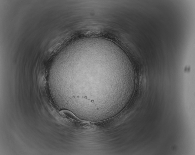 X0000116831250200912241219