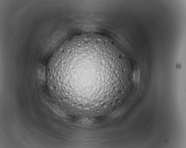 X0000116831251200912241219