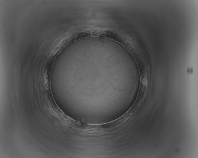 X0000116831252200912241219