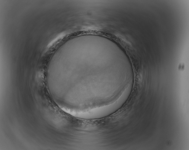 X0000116831254200912241219