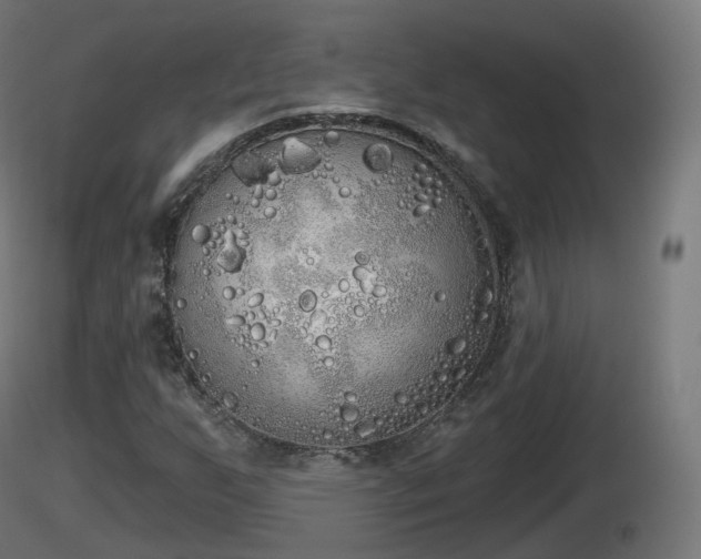 X0000116831255200912241219