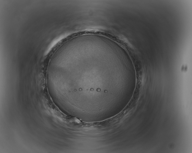 X0000116831256200912241219