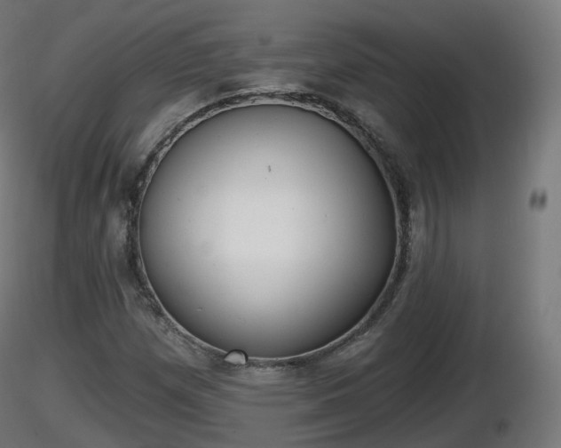 X0000116831257200912241219