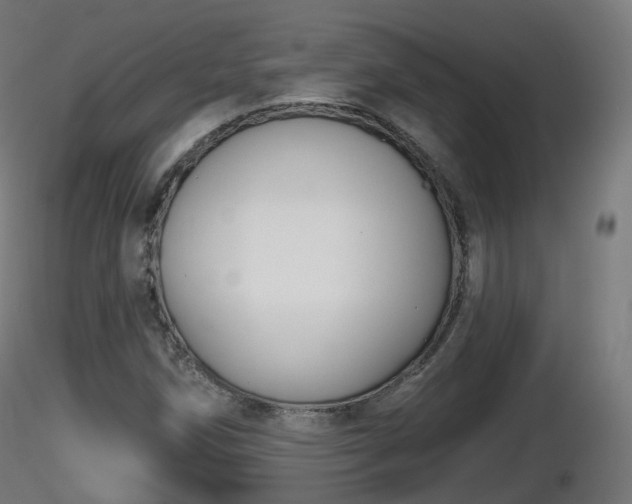 X0000116831258200912241219