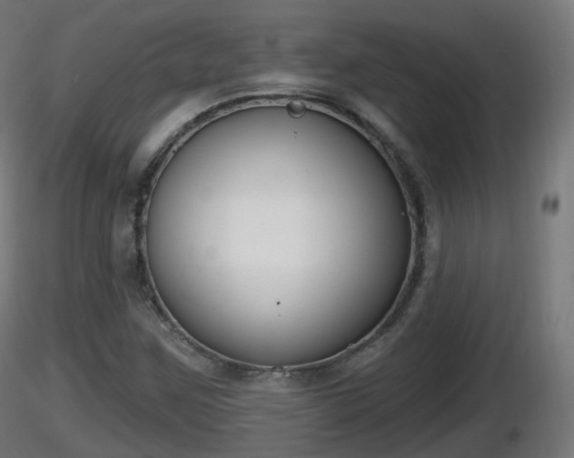 X0000116831259200912241219