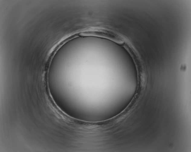 X0000116831260200912241219
