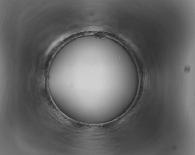 X0000116831262200912241219