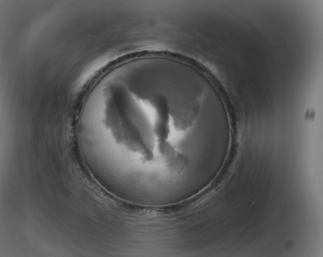 X0000116831263200912241219