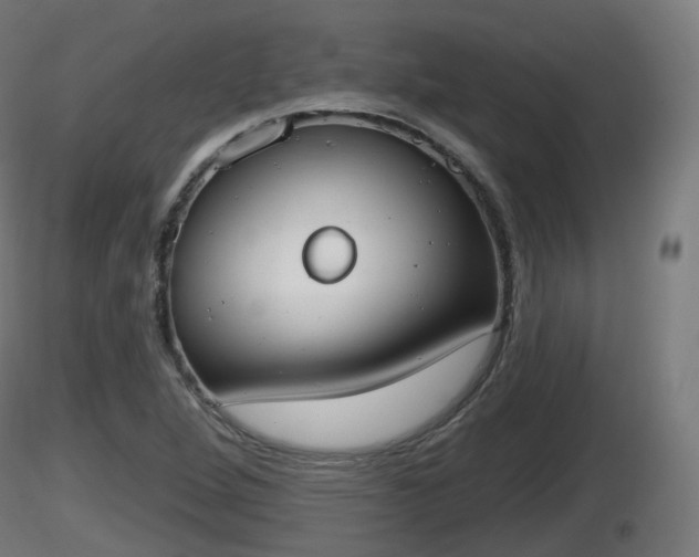 X0000116831264200912241219