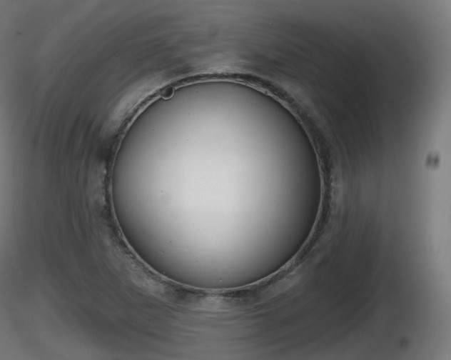 X0000116831265200912241219