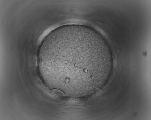 X0000116831267200912241219