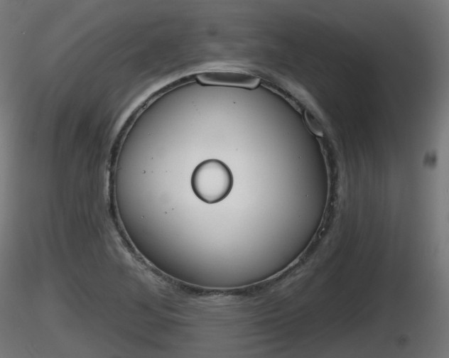 X0000116831268200912241219