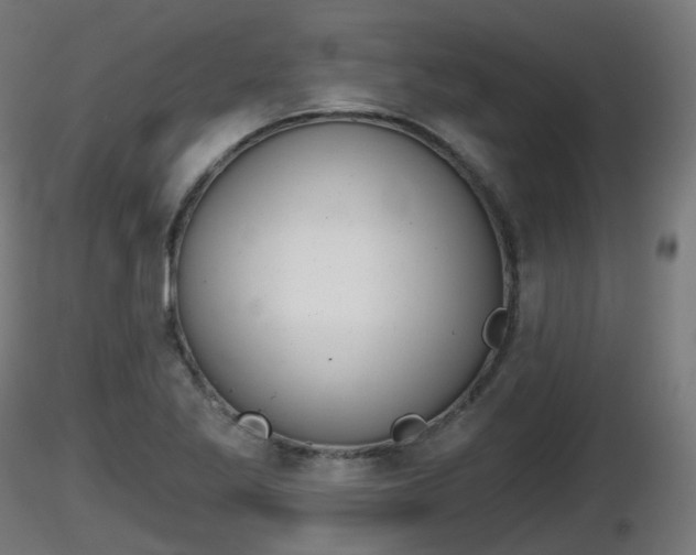 X0000116831269200912241219