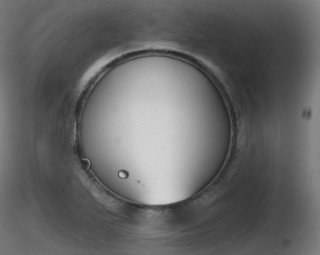 X0000116831271200912241219