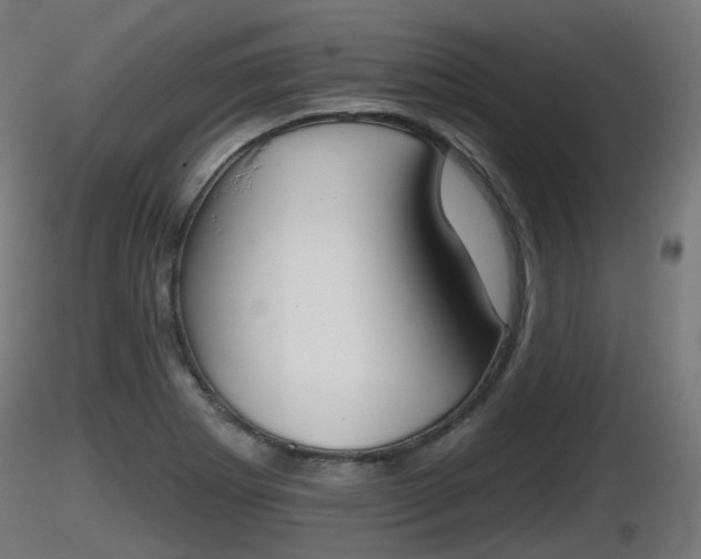 X0000116831273200912241219