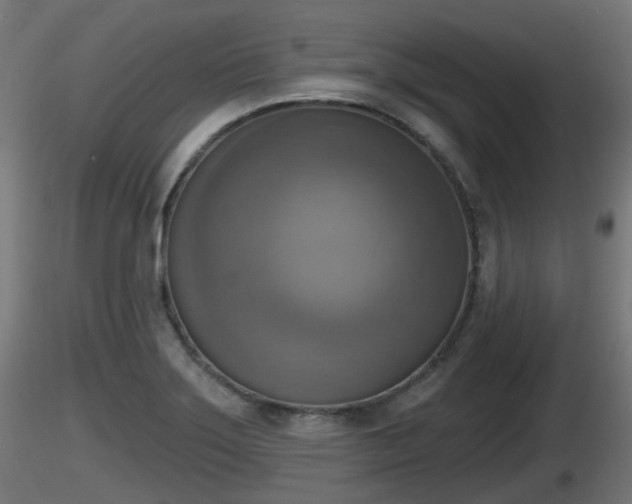 X0000116831275200912241219