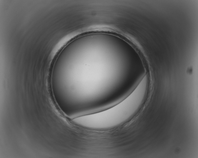 X0000116831277200912241219