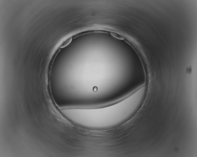 X0000116831280200912241219