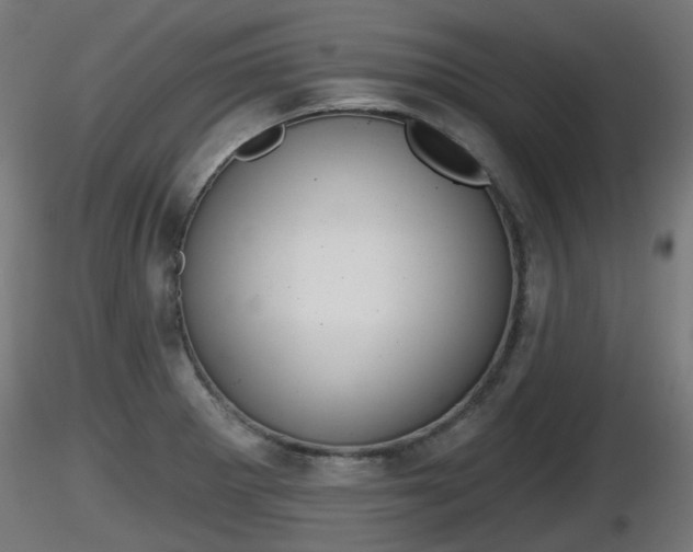 X0000116831281200912241219