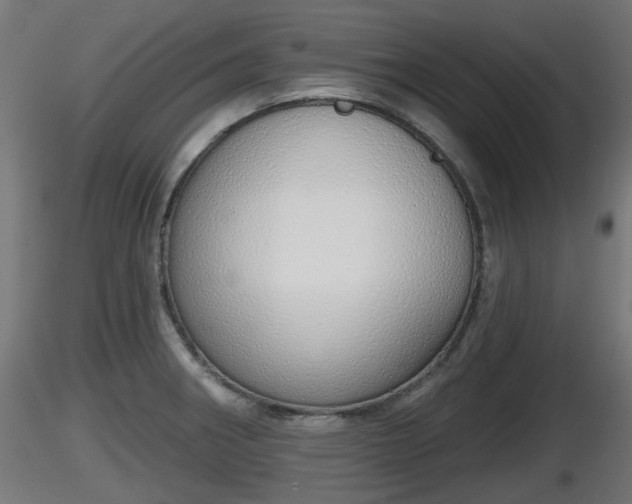 X0000116831282200912241219