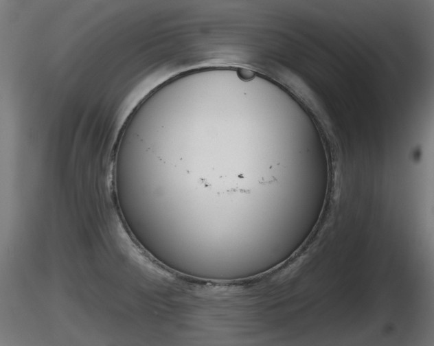 X0000116831284200912241219
