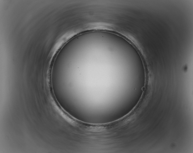 X0000116831285200912241219