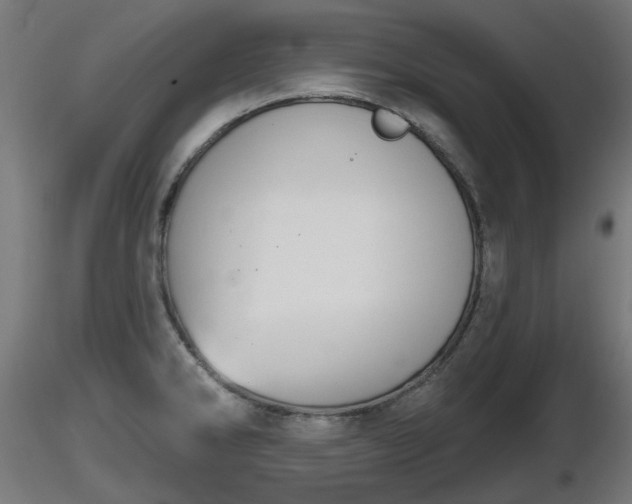 X0000116831286200912241219